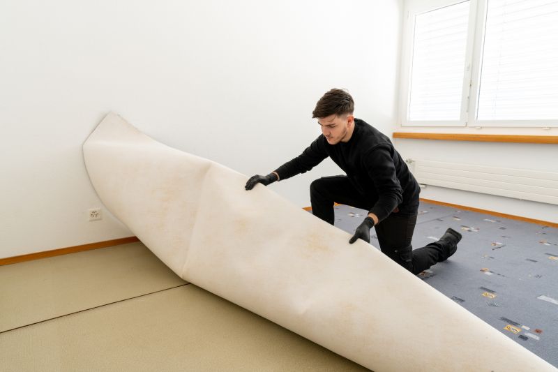 Basement Carpet Stretching in Alpharetta, GA