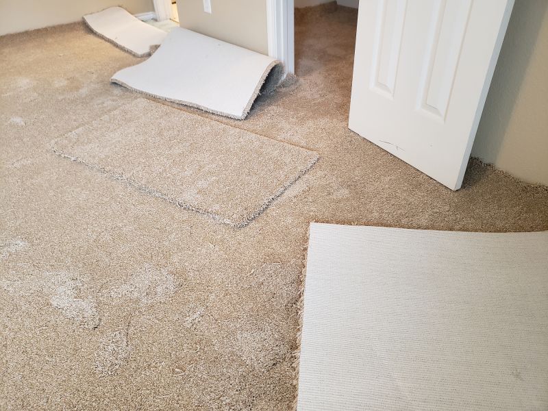 Basement Carpet Stretching in Overland Park, KS