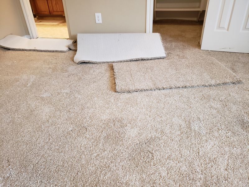 Carpet Smoothing in Alpharetta, GA
