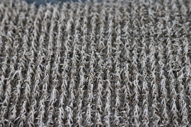 Commercial Carpet Repair in Littleton, CO