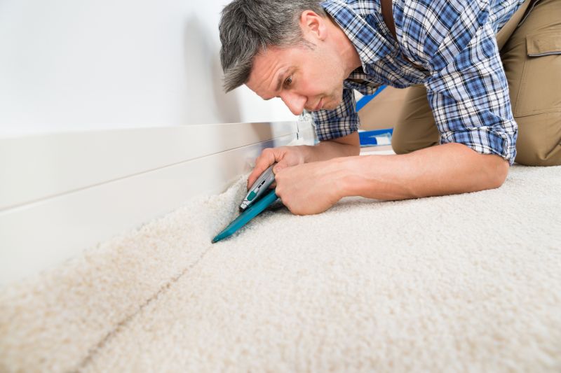 Pet Stain Carpet Repair in Overland Park, KS