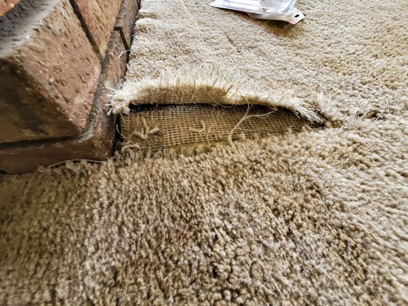 Pet Stain Carpet Repair in Kansas City, KS